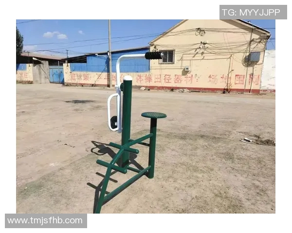 陕西健身器材：陕西省本地健身器材生产厂家与销售渠道